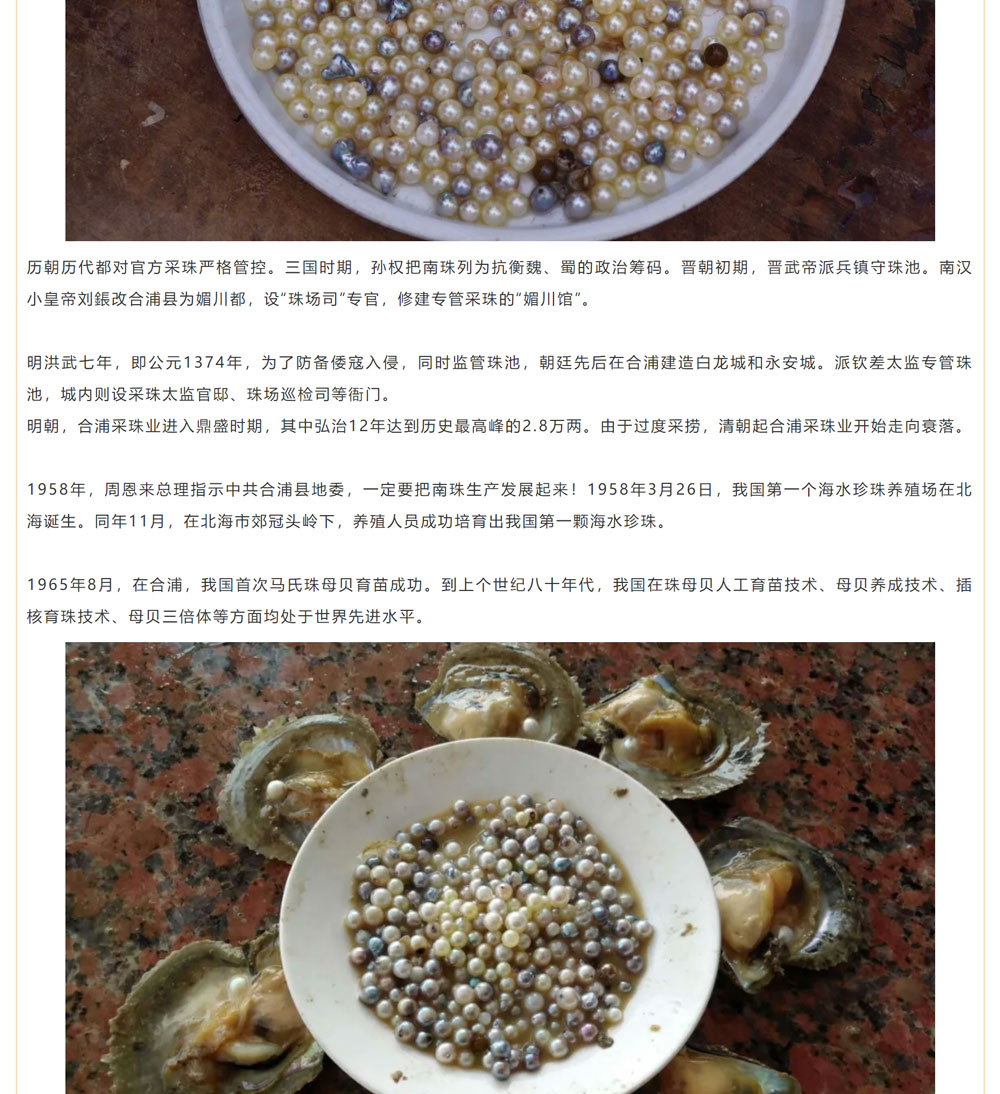 古老南珠，綻放異彩